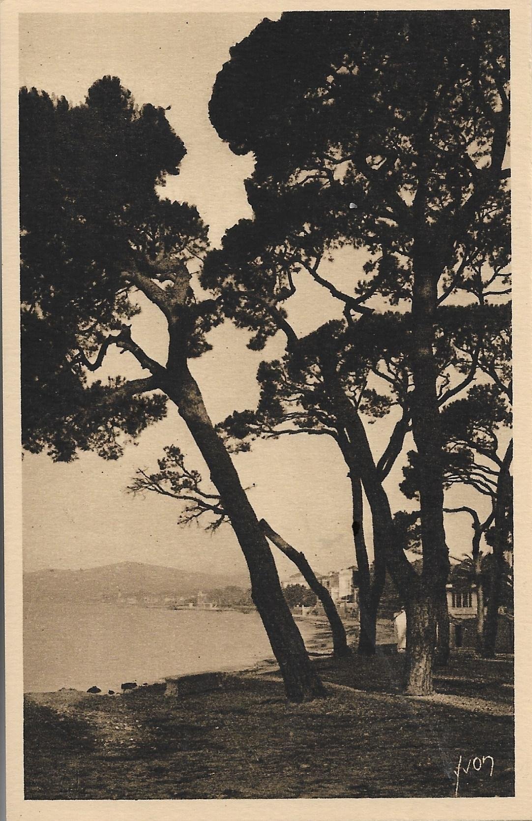 /France/FR_place_1903-1938_JUAN-les-PINS (Alpes-Maritimes) COTE D'AZUR.jpg